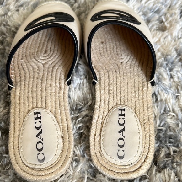 Coach slides - Picture 2 of 4
